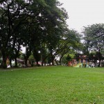 the park