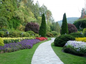 beutiful garden